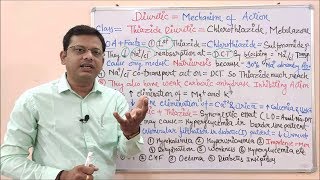 Diuretic Part 06 Thiazide Diuretic Mechanism of Action  Thiazide Diuretics  Diuretics Classi [upl. by Undry]