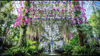 Virtual Tour of The Orchid Show Jeff Leathams Kaleidoscope [upl. by Houston237]