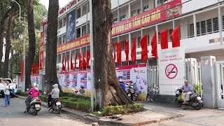 Saigon 2015  Vietnam Tour Bike in District 1  Ho Chi Minh City [upl. by Erv]