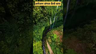 अमेजन जंगल बना कैसे।।🤔 Amazon jungal ka Rahasya। fact of Amazon rainforest shorts Amazon jungal [upl. by Valaria436]