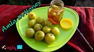 How to Preserve Amla in Honey Storing Amla for Months  Life Hacks by Attamma TV [upl. by Miarzim417]