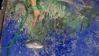 Full vlogs 1114  Amazing fishing trand in night time milk fish today best fishing video [upl. by Yelik]