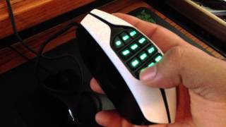 Logitech G600 vs Razer Naga Quick Comparison [upl. by Ecnedurp929]