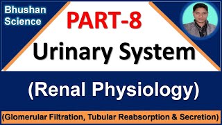 PART 8 Urinary System  Renal Physiology  B Pharm GPAT Nursing Medical [upl. by Glasgo445]