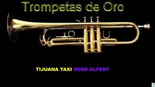 Tijuana Taxi Herb Alpert BT [upl. by Valentino]