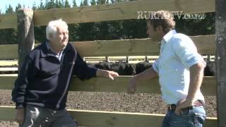 PGG Wrighston Stud Tour  Ep 22 Cricklewood Angus [upl. by Knick931]