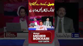 Imran Khan Ki Rehai Landing Kahan  Hamid Mir Revelations qaidi804 meherbukhari shorts [upl. by Arhsub]