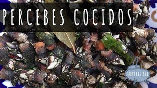 PERCEBES COCIDOS  Lareirasgal [upl. by Chapa]