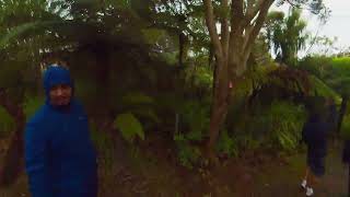 Donald McLean and Puriri Ridge Tracks Huia Waitakere Ranges West Auckland New Zealand [upl. by Brote]