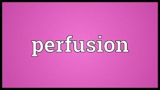 Perfusion Meaning [upl. by Walburga]