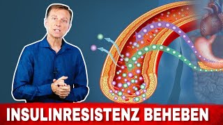 Sieben Dinge die die Insulinsensitivität erhöhen Insulinresistenz Behandlung  Dr Berg Deutsch [upl. by Rhyner206]