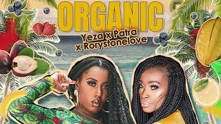 Yeza X Patra  Organix Remix Official Audio [upl. by Enairda]