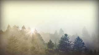 Trees and Fog Church Motion Graphic  Sharefaithcom [upl. by Ximena]