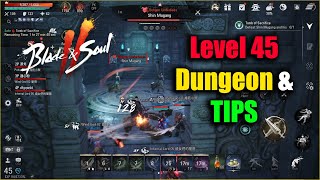 Blade amp Soul 2 Level 45 Dungeon amp TIPS [upl. by Sheaff845]