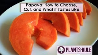 Papaya How to Choose Cut and Enjoy from PlantsRule [upl. by Elise]