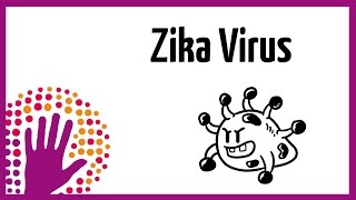 Zika Virus explained simply [upl. by Zebulon]