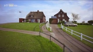 Doku Hallig Hooge  Die Nummer eins im Wattenmeer HD [upl. by Lussier]