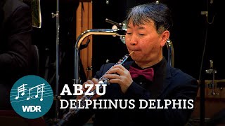 Abzû  Delphinus Delphis  WDR Funkhausorchester [upl. by Emera]