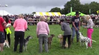 BUCKHAM FAIR 2013 [upl. by Anuhsal]