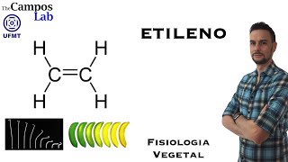 Etileno 33 Biossíntese e Sinalização [upl. by Htenek]