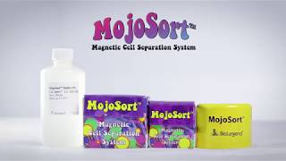 BioLegend MojoSort™ Protocol Video [upl. by Aerehs831]