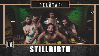 Stillbirth  PELATAR LIVE [upl. by Aihtennek]