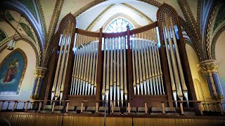 2019 Reuter  Wicks  TellersSommerhoff Organ  Basilica of St Francis Xavier Dyersville Iowa [upl. by Aivle]