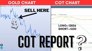 How to use COT Report in Forex Trading  read it like a PRO xauusd forex gold [upl. by Enilada]