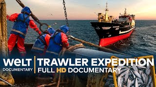 On A FISHING EXPEDITION  Germanys Biggest DeepSea Trawler  Full Documentary [upl. by Euqinad]