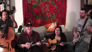 The Police  Canary in a Coalmine Couch Covers by The Student Loan Stringband [upl. by Oironoh]