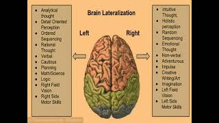 Theory of brain lateralization। Nursing ।psychologyfornurses [upl. by Athal]