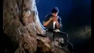 Koyla Mix  Shahrukh amp Madhuri [upl. by Vally]