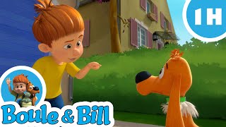 🕵️‍♂️ Boule et Bill sont des enquêteurs hors pair 😎 Nouvelle compilation Boule et Bill FR [upl. by Gefell]