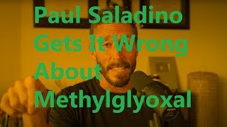 Paul Saladino Gets It Wrong About Methylglyoxal [upl. by Odnam936]