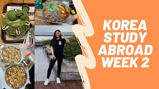 Yonsei University Korea Study Abroad  Week 2 [upl. by Juakn]