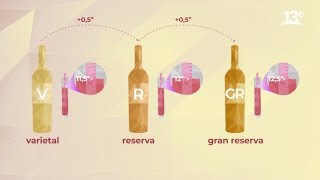 Diferencias entre varietal reserva y gran reserva  El Que A Chile Vino [upl. by Acinoryt]