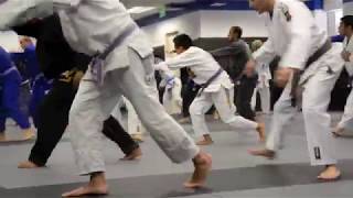 Cobrinha Brazilian Jiu Jitsu amp Fitness Alliance Los Angeles [upl. by Eynaffit]