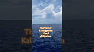 the view of Kalanggaman Island philippines shortvideo thankylord travel [upl. by Ennoirb563]