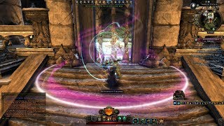 Neverwinter Mod 12 Preview  Transcendent Bronzewood b2b Transcendent Barkshield Run 1080p [upl. by Riehl968]