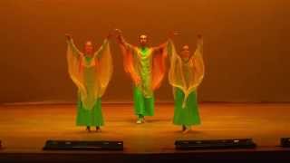 Septim eurythmy performance  Caterpillars and Chopin premiere 2015 [upl. by Sawyere329]