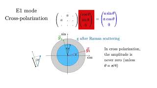 Raman Polarization Tutorial 22 [upl. by Silden16]