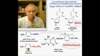 Enzymes Inhibiteurs compétitifs version Ar أنزيمات مثبطات تنافسية [upl. by Oiralih90]