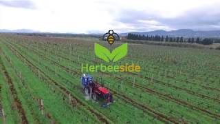 ECO FRUIT  HERBEESIDE Sistemi di Diserbo Ecologico per aree agricole [upl. by Oal836]