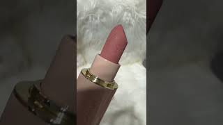 Westman Atelier Lip Suede Matte Lipstick in Pique westmanatelier lipstick lipswatches shorts [upl. by Hait896]