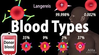 Blood Types Blood Group Systems and Transfusion Rule Animation [upl. by Furiya]