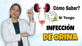 ¿Cómo Saber si Tengo INFECCIÓN de ORINA 🦠  SÍNTOMAS y Medidas para Prevenirlas [upl. by Kcirdled]