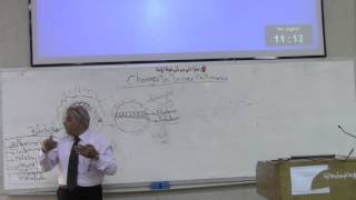 06 Changes in the inner cell mass DrGamal [upl. by Adelaida]