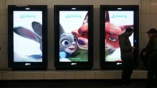 Zootopia Paris métro video 5 [upl. by Acinemod]