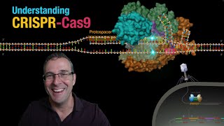 4 CRISPR Cas9  Gene Regulation with dCas9 [upl. by Hambley]