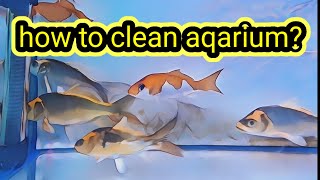 How to clean aqariumfish tank water change fish aqarium [upl. by Eelyk]